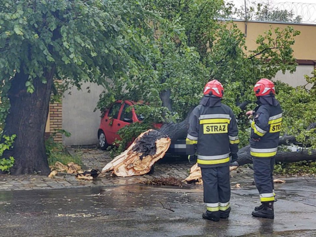 Spadło drzewo i uszkodziło dwa samochody
