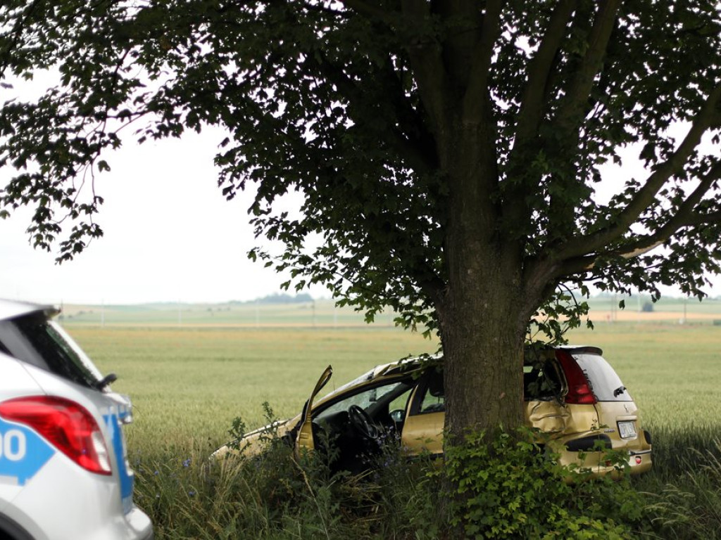 Poważny wypadek koło Bytnika. Auto uderzyło w drzewo