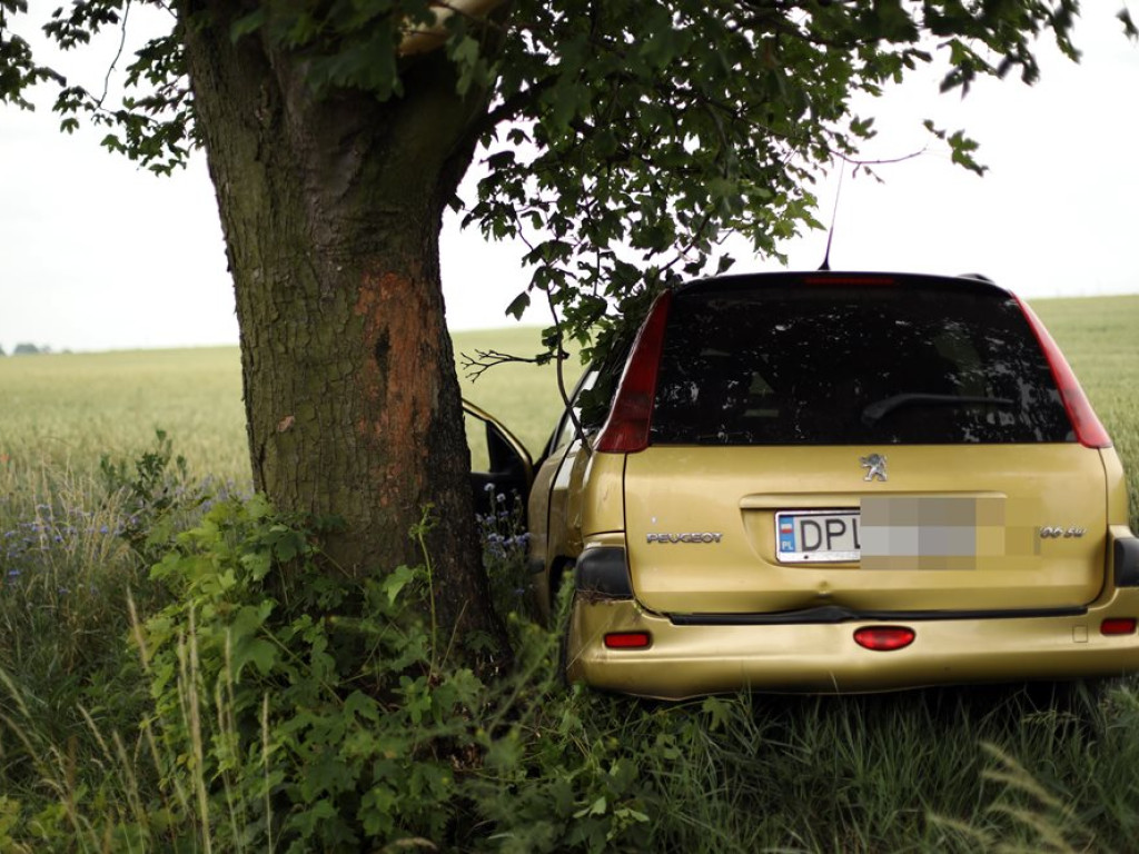Poważny wypadek koło Bytnika. Auto uderzyło w drzewo