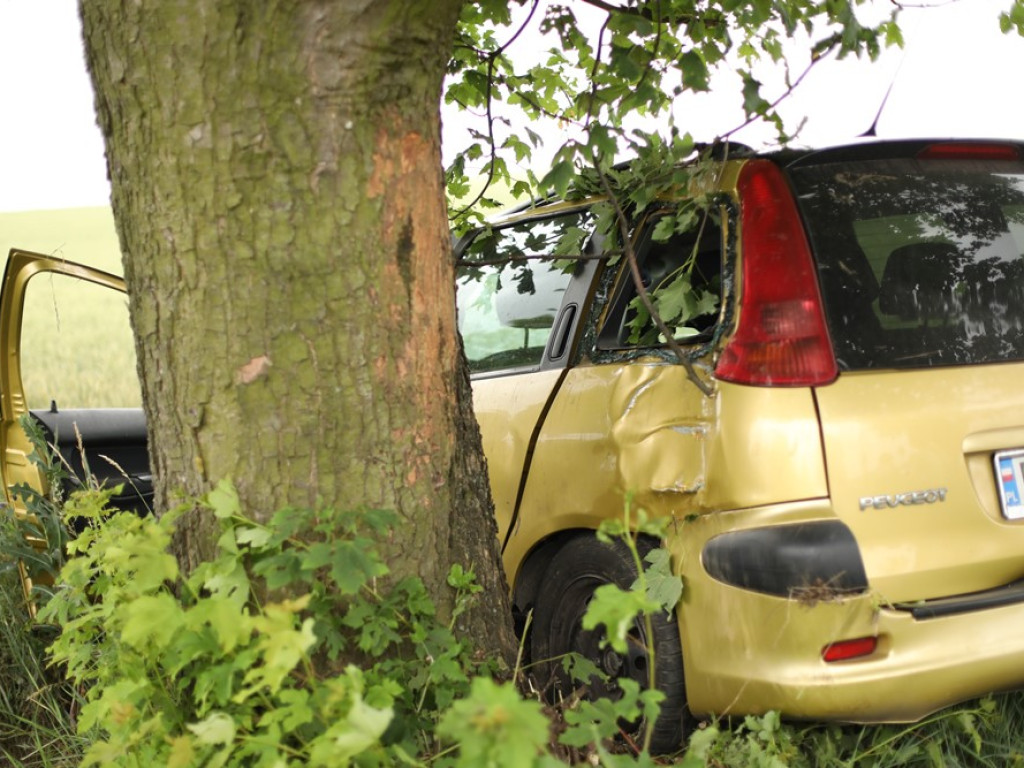 Poważny wypadek koło Bytnika. Auto uderzyło w drzewo