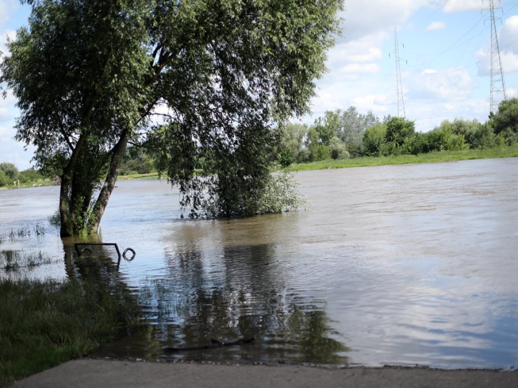 Odra przybiera i zbliża się do stanu alarmowego. Wędkarze: Woda zalewa plac festynowy