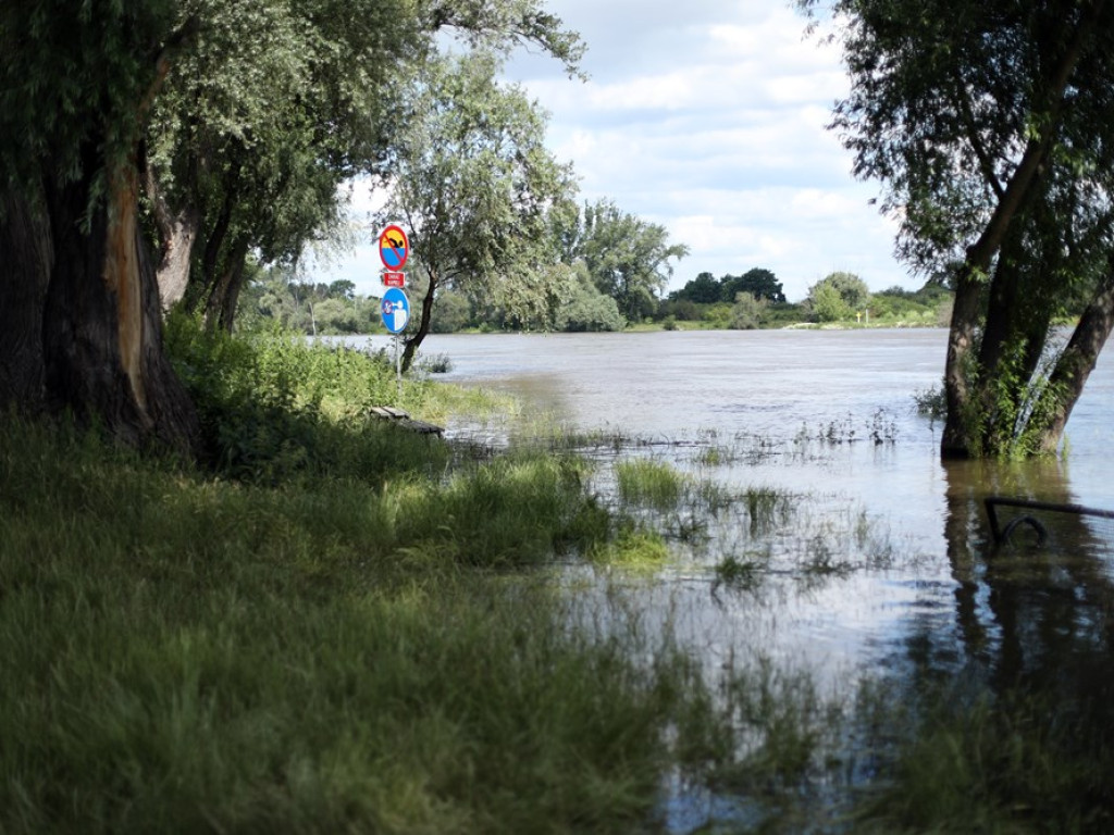 Odra przybiera i zbliża się do stanu alarmowego. Wędkarze: Woda zalewa plac festynowy