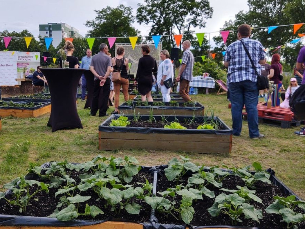 Piękny ten ogród nad Odrą! Była ciężka praca, a teraz przyszedł czas na świętowanie
