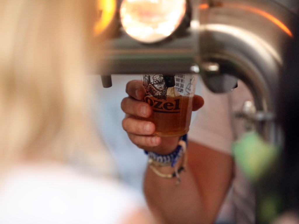 Roślina dała czadu! Pierwszy taki koncert w Playa Del Fuego nad Odrą