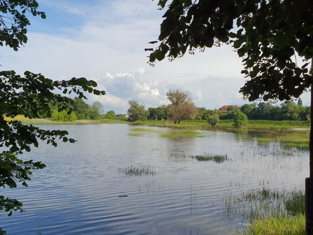 Dziś poziom Odry ma być najwyższy. Rano było 486 cm
