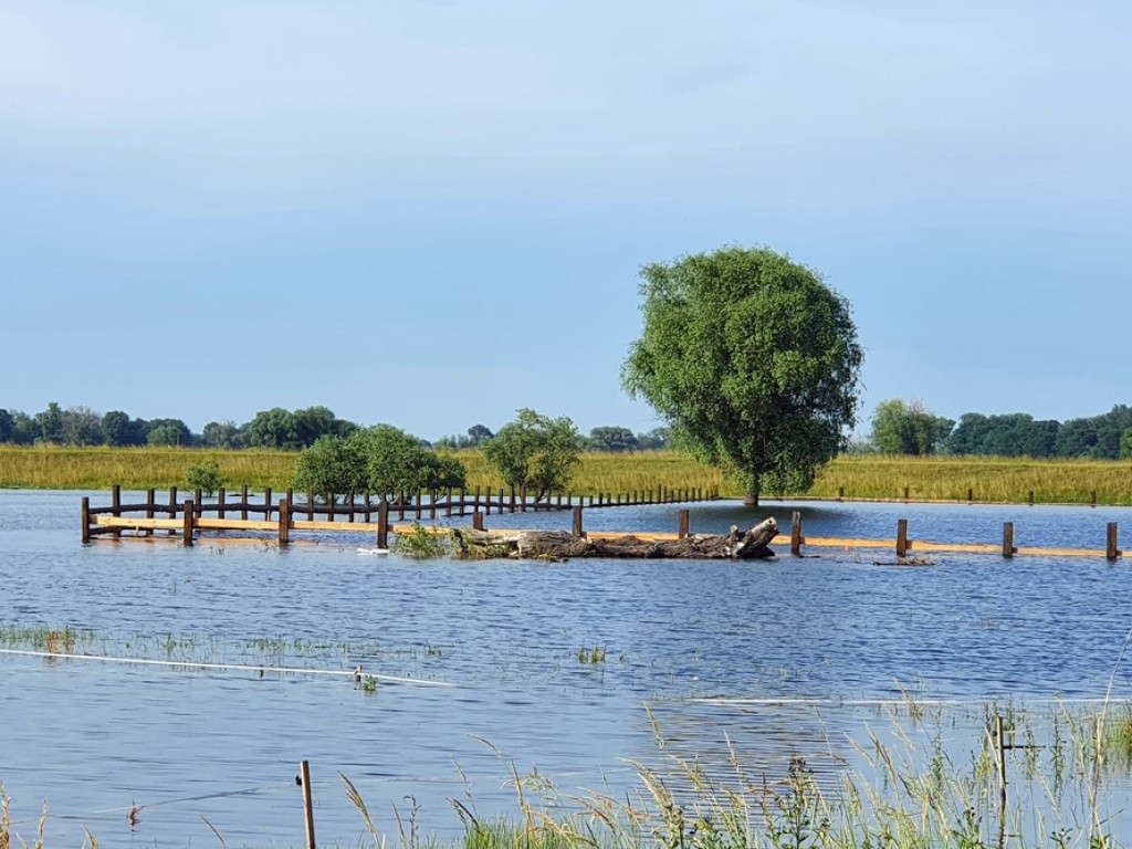 Dziś poziom Odry ma być najwyższy. Rano było 486 cm