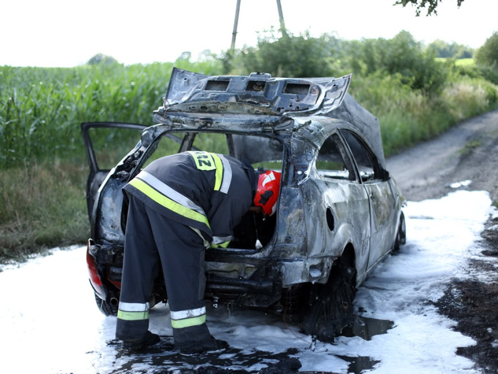 Ford spłonął doszczętnie. Pożar na drodze wojewódzkiej