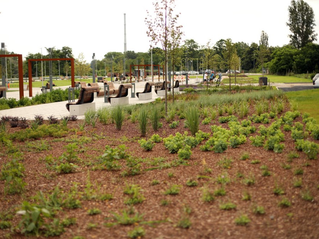 Na bulwarze nie będzie placu zabaw dla dzieci a trampoliny
