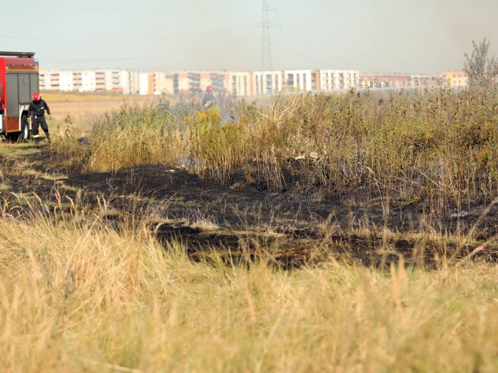 Pożar traw przy ulicy Kolejowej. Dym widoczny był z daleka