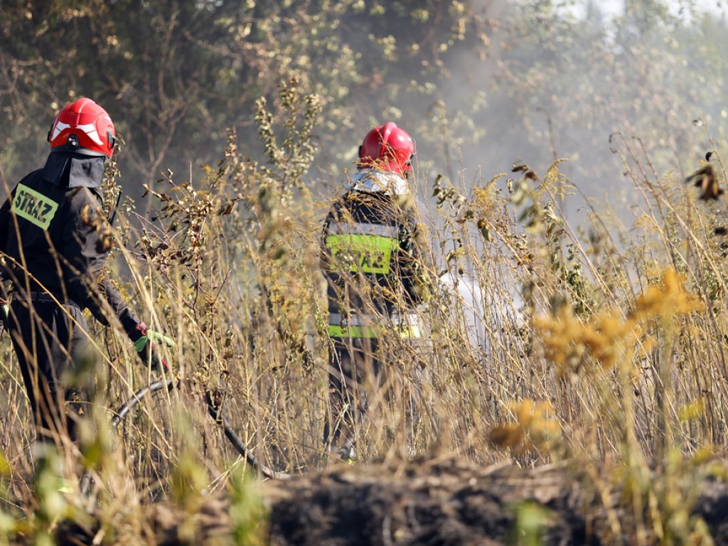 Pożar traw przy ulicy Kolejowej. Dym widoczny był z daleka