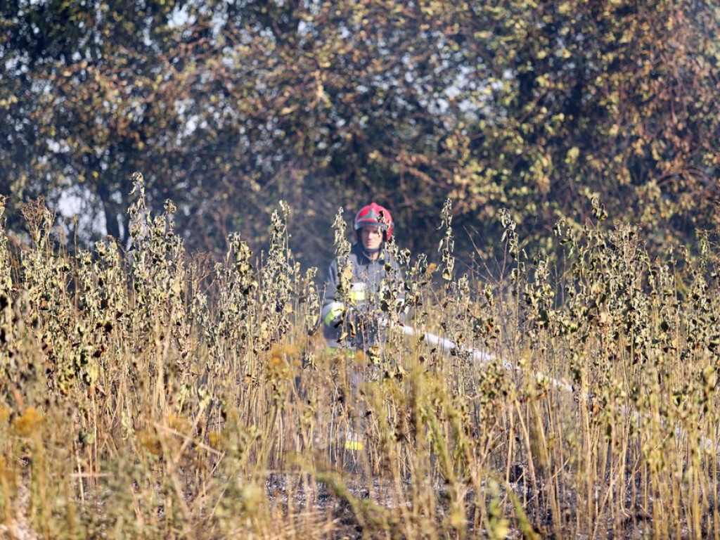 Pożar traw przy ulicy Kolejowej. Dym widoczny był z daleka
