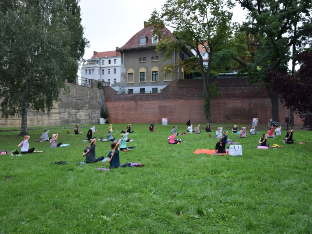 Finał cyklu 