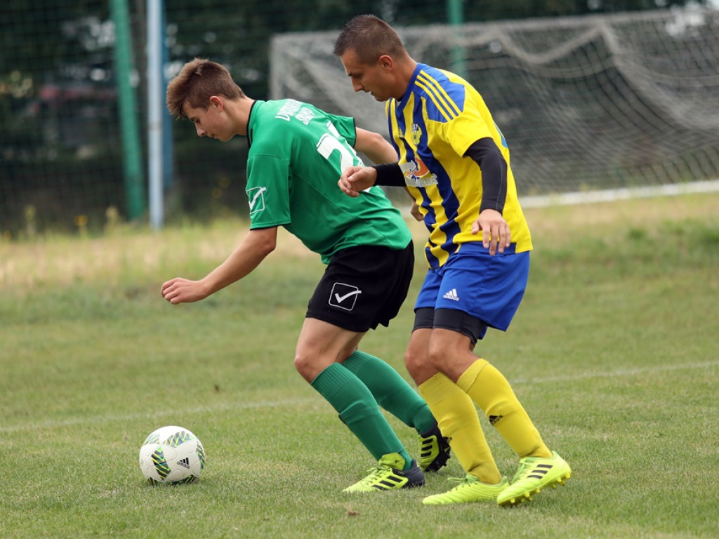 Dragon wygrywa, ale bez Herbusia. Kibice: Jesteśmy z Tobą!