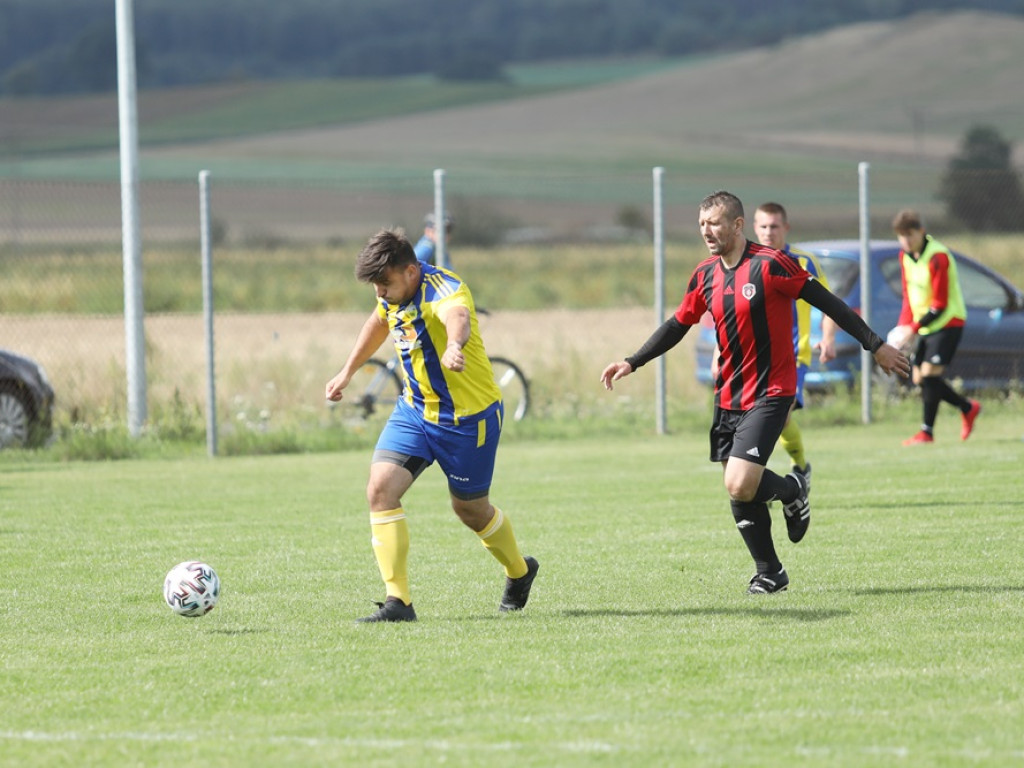 Kibice: 
