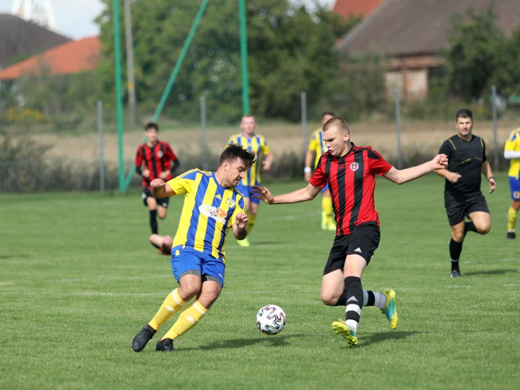 Kibice: 