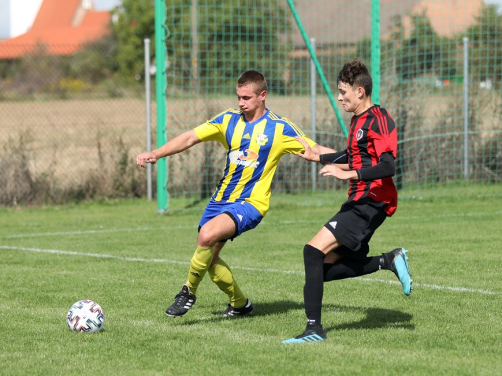 Kibice: 