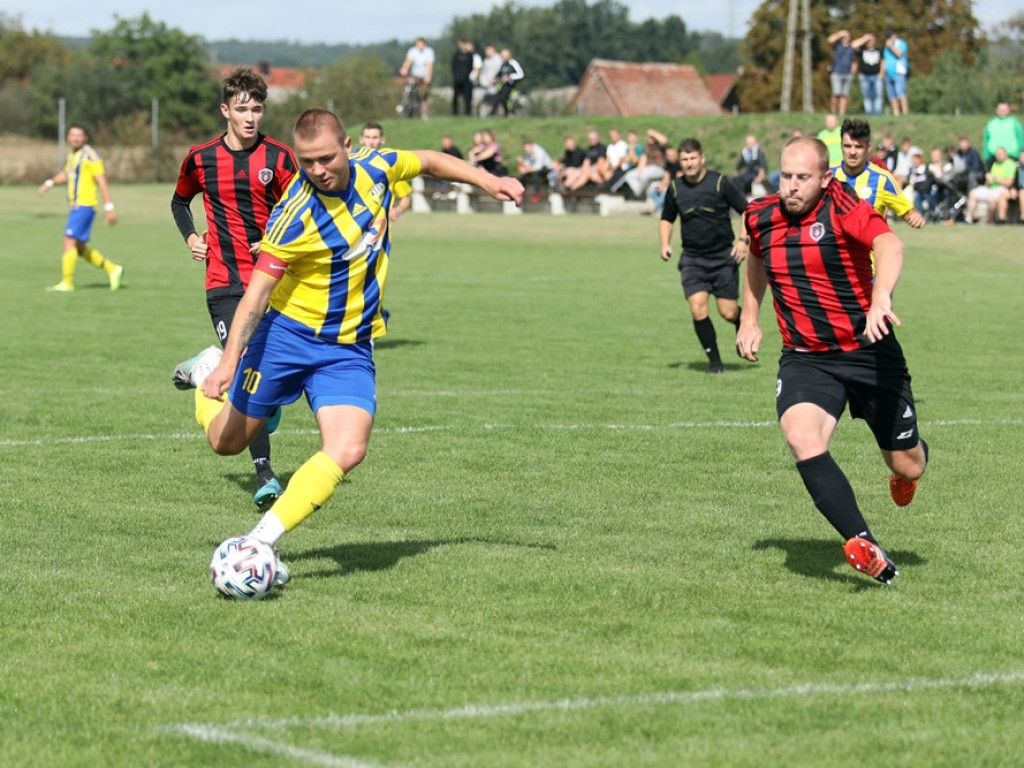 Kibice: 