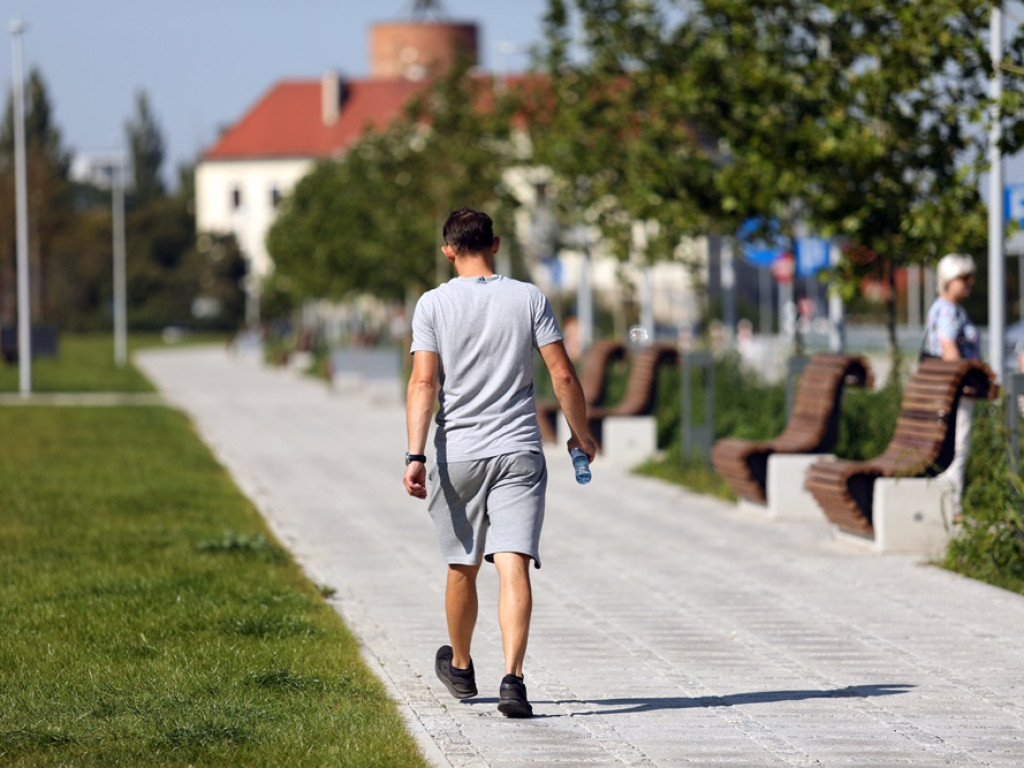 Krzaki na pół metra, więc ludzie pytają, kto zadba o Bulwar Nadodrzański?