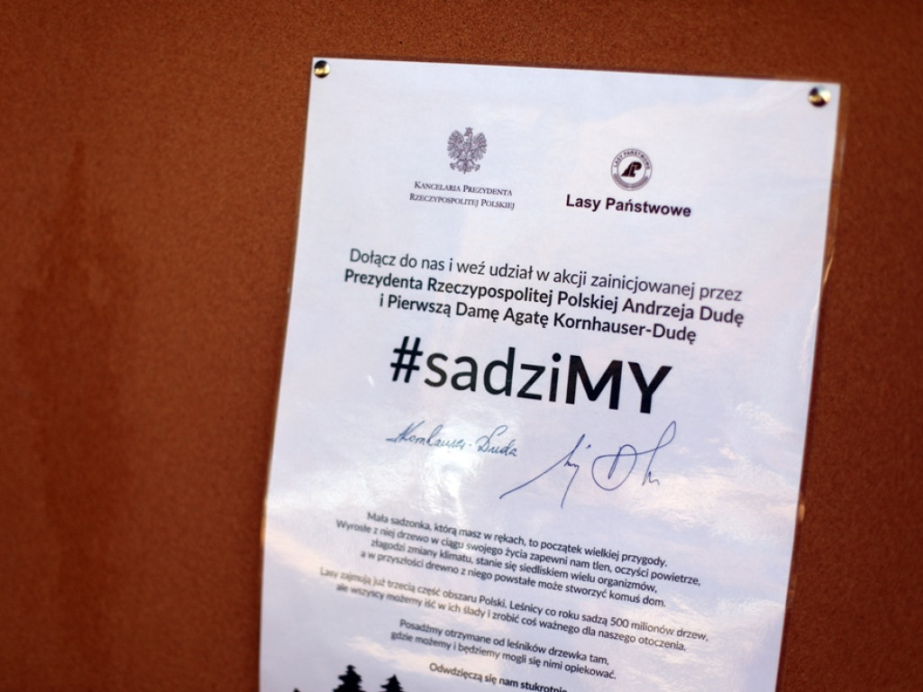 Drzewka idą od ręki! Ogromne zainteresowanie akcją leśników