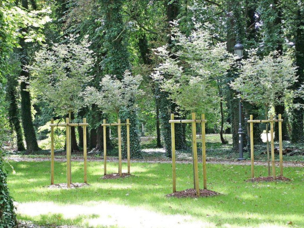 Jest już pięknie! Rewaloryzacja Parku Miejskiego w Sławie na ukończeniu