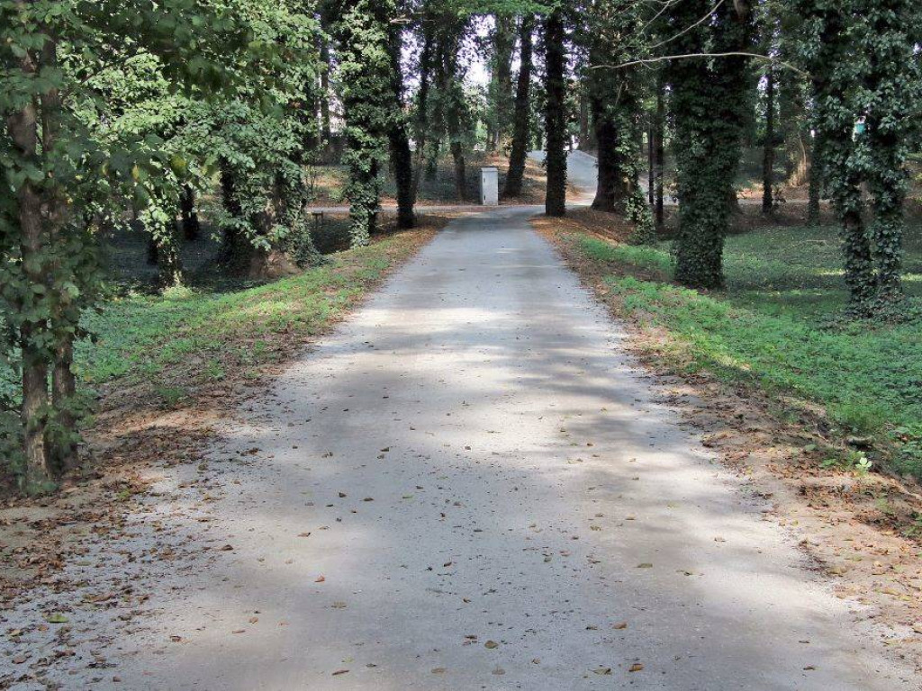 Jest już pięknie! Rewaloryzacja Parku Miejskiego w Sławie na ukończeniu