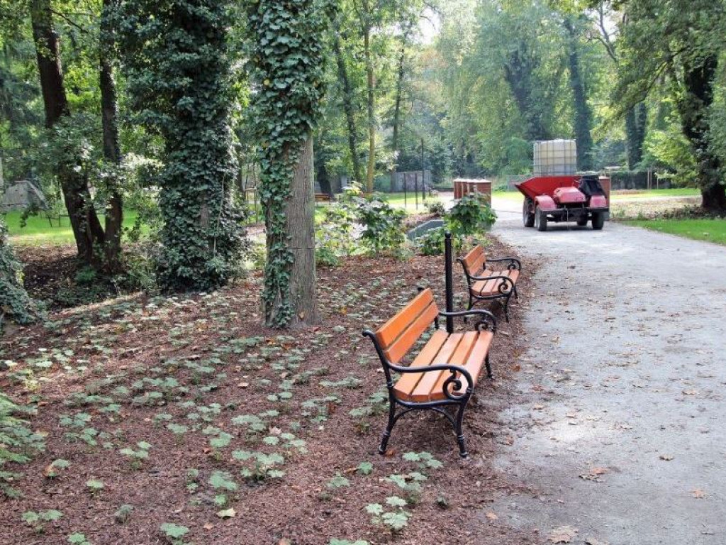 Jest już pięknie! Rewaloryzacja Parku Miejskiego w Sławie na ukończeniu