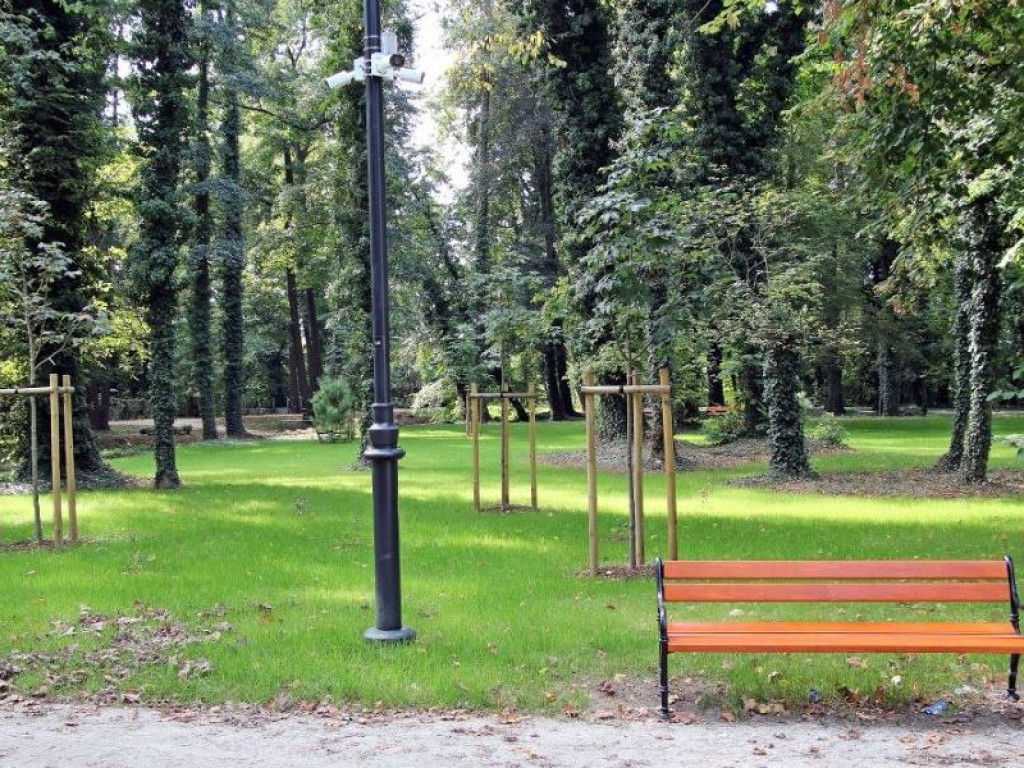 Jest już pięknie! Rewaloryzacja Parku Miejskiego w Sławie na ukończeniu