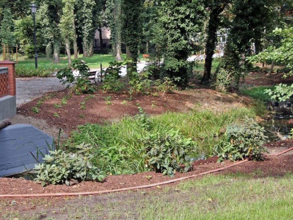 Jest już pięknie! Rewaloryzacja Parku Miejskiego w Sławie na ukończeniu