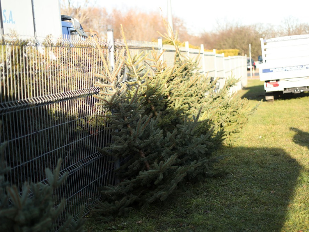 Kiermasz fundacji na targowisku! Prezenty od więźniów z Rawicza