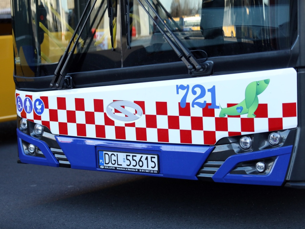 Jest się czym chwalić. Kolejne nowoczesne autobusy dotarły do Głogowa