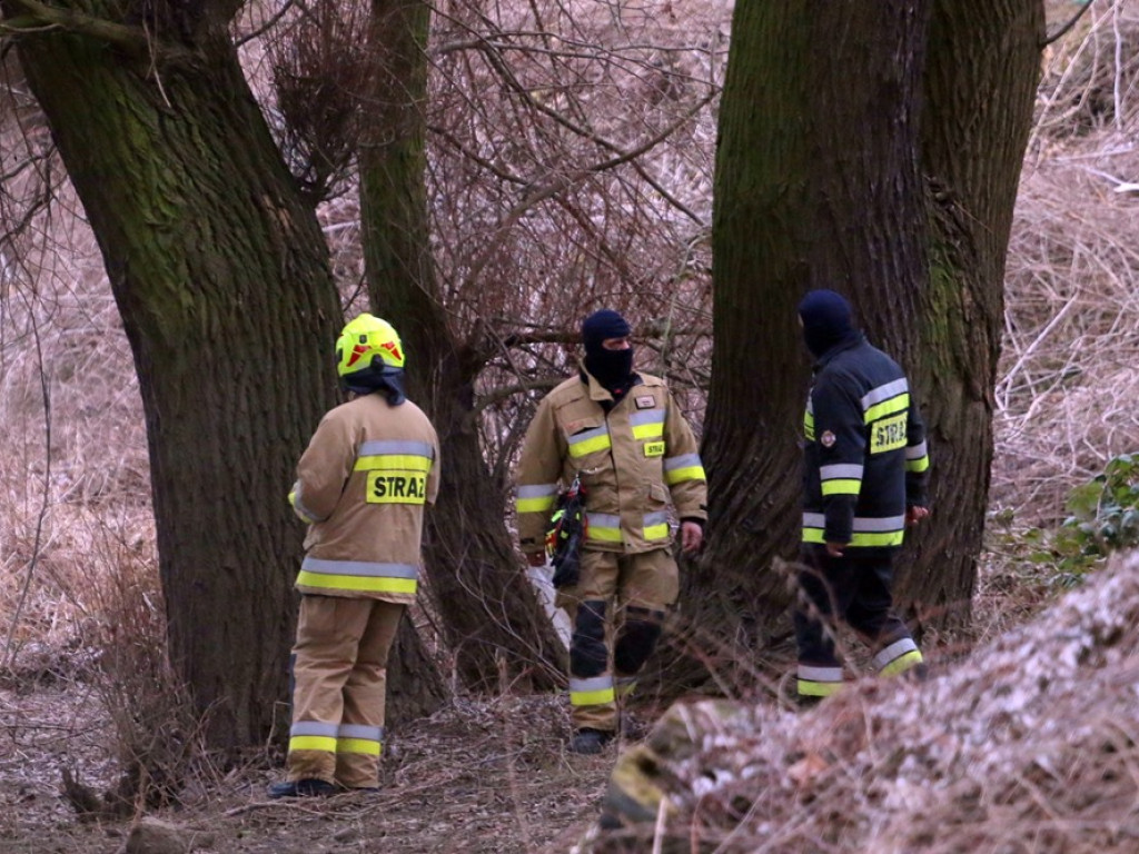 Strażacy i policjanci szukają zaginionej 77-letniej Bogumiły Węgrzyn