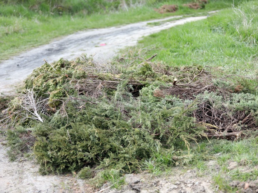 Miasto wyremontuje drogę, ale też posprząta to dzikie wysypisko śmieci