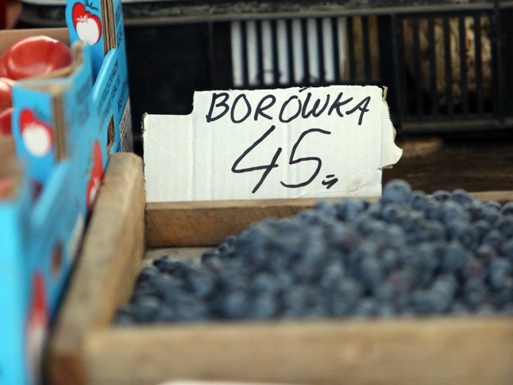 Jest drogo! Kilogram borówek nawet po 45 zł