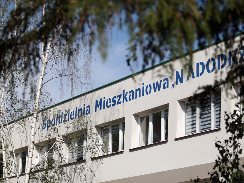 Najpierw był remont, teraz wzięli się za teren wokół spółdzielni