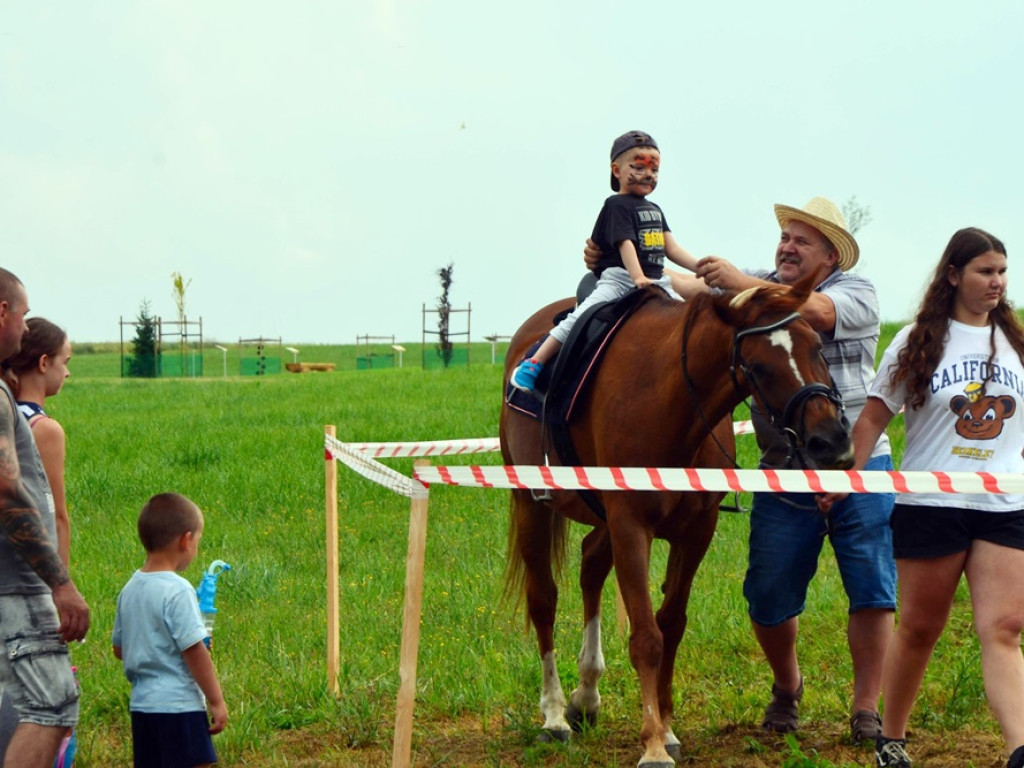 Udany piknik w Obiszowie. Mnóstwo atrakcji w pięknym miejscu