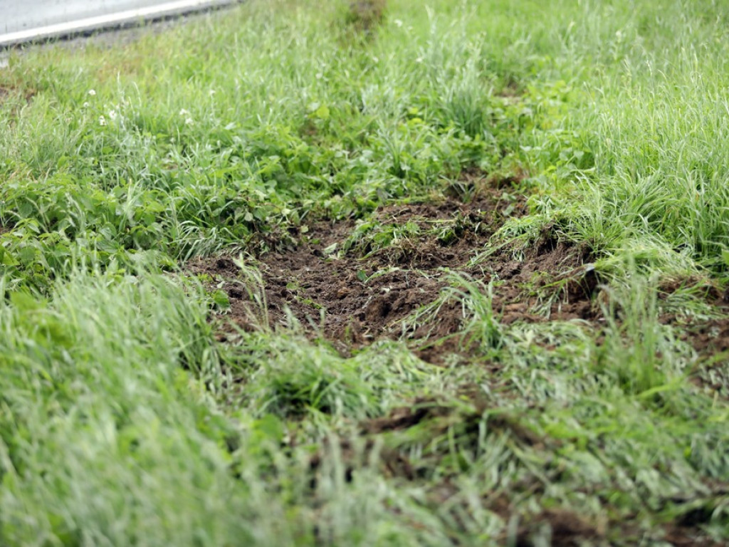 Auto dachowało pomiędzy Głogowem a Nielubią. Matka i dziecko w szpitalu [ZDJĘCIA]