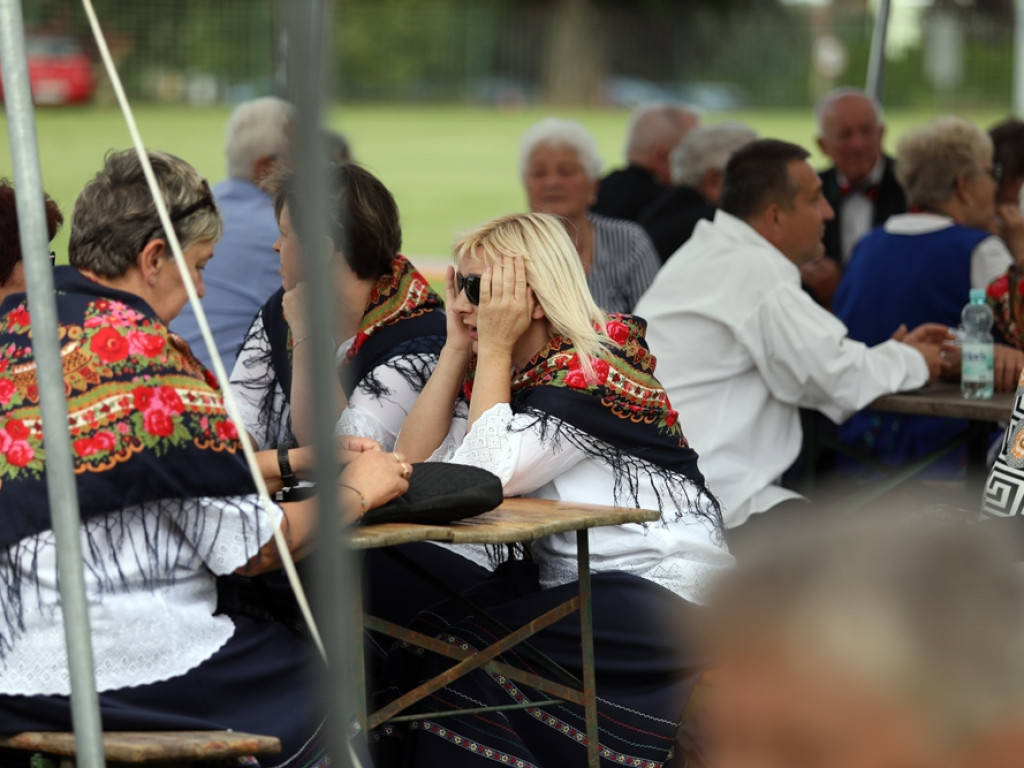 Rządowe wsparcie na piknik w Przedmościu. Były występy i punkt szczepień [ZDJĘCIA]