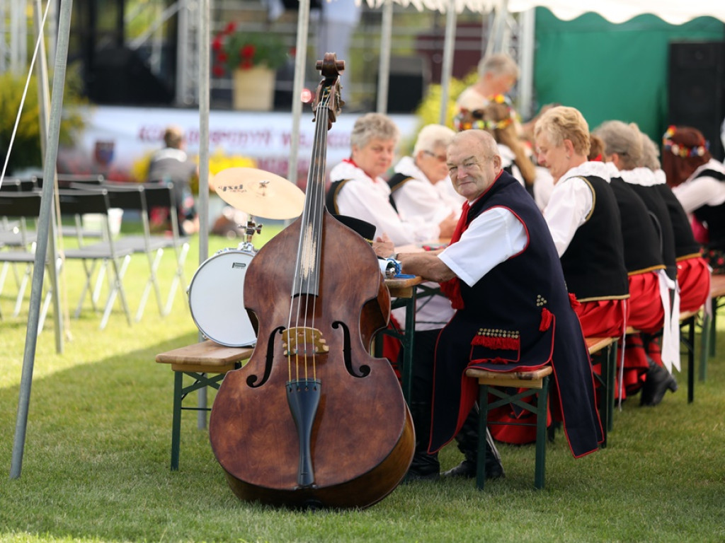 Rządowe wsparcie na piknik w Przedmościu. Były występy i punkt szczepień [ZDJĘCIA]