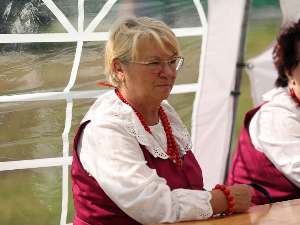 Rządowe wsparcie na piknik w Przedmościu. Były występy i punkt szczepień [ZDJĘCIA]