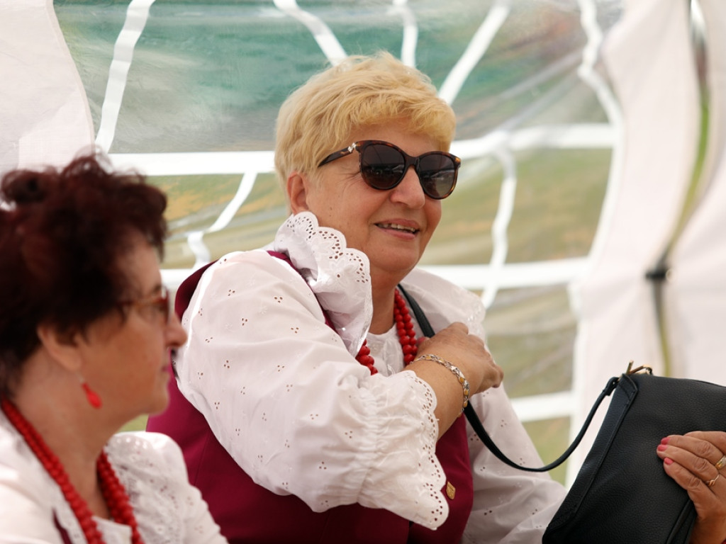 Rządowe wsparcie na piknik w Przedmościu. Były występy i punkt szczepień [ZDJĘCIA]