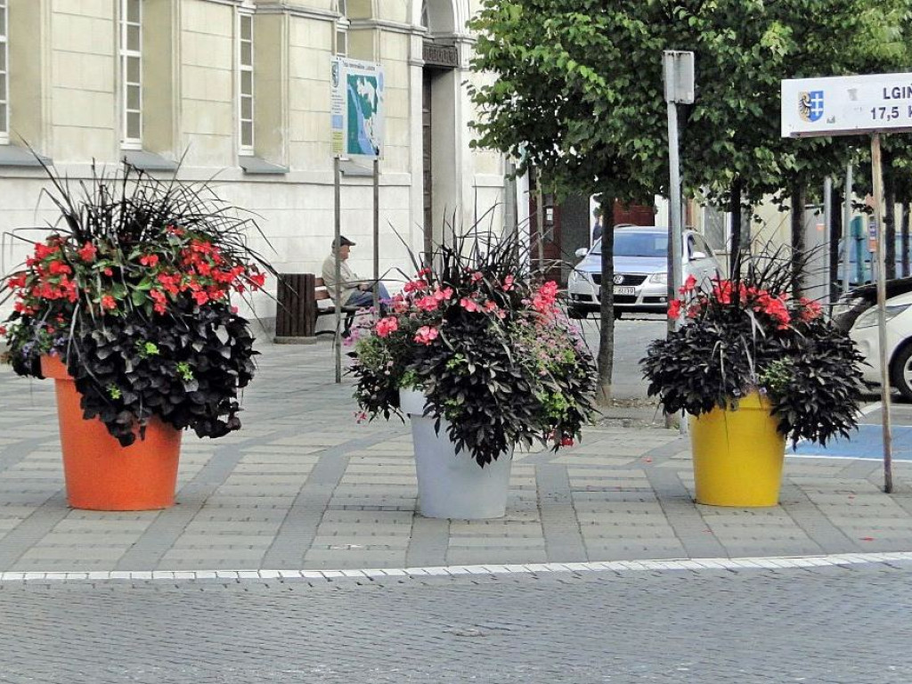 Sława walczy o tytuł najpiękniej ukwieconego miasta. Centrum cudowne, ale bliżej plaży w gazonach rosną... chwasty