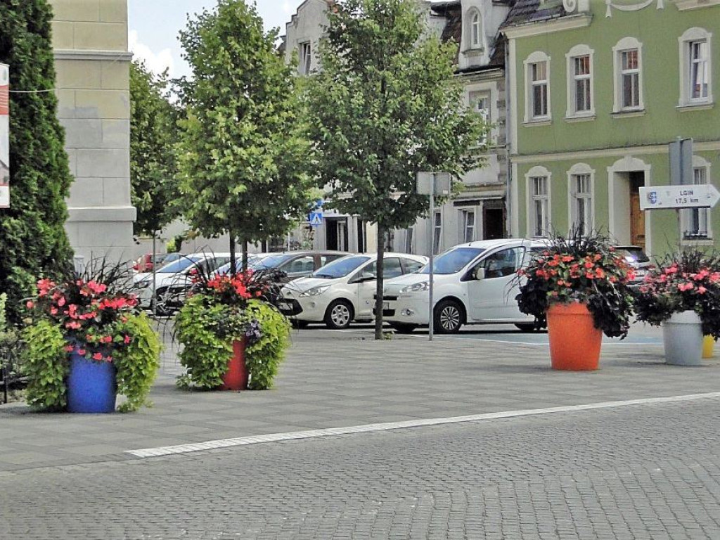 Sława walczy o tytuł najpiękniej ukwieconego miasta. Centrum cudowne, ale bliżej plaży w gazonach rosną... chwasty