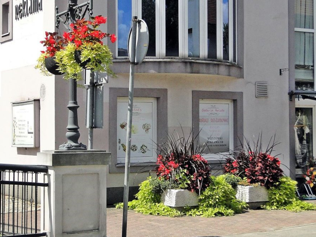 Sława walczy o tytuł najpiękniej ukwieconego miasta. Centrum cudowne, ale bliżej plaży w gazonach rosną... chwasty