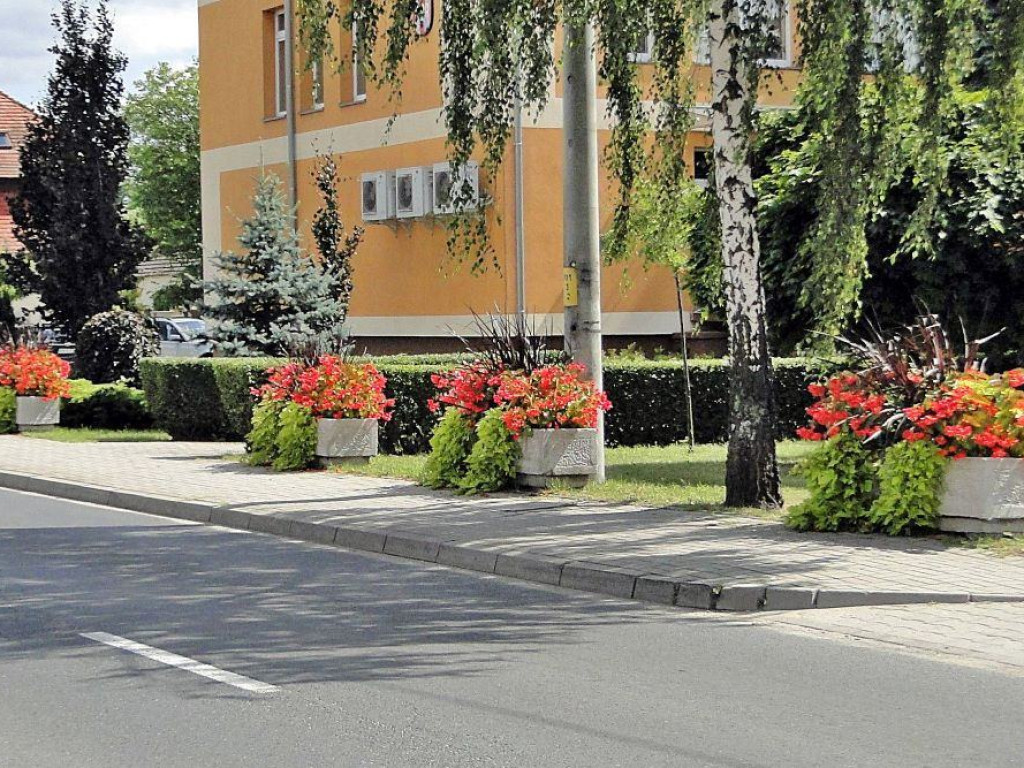 Sława walczy o tytuł najpiękniej ukwieconego miasta. Centrum cudowne, ale bliżej plaży w gazonach rosną... chwasty