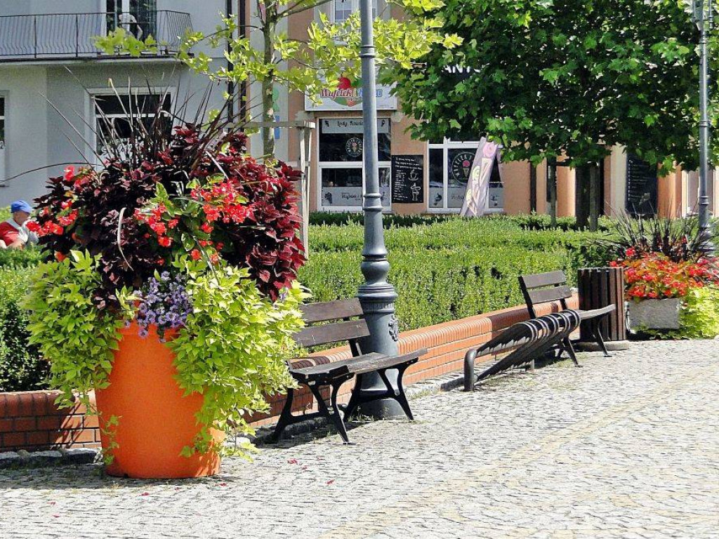 Sława walczy o tytuł najpiękniej ukwieconego miasta. Centrum cudowne, ale bliżej plaży w gazonach rosną... chwasty