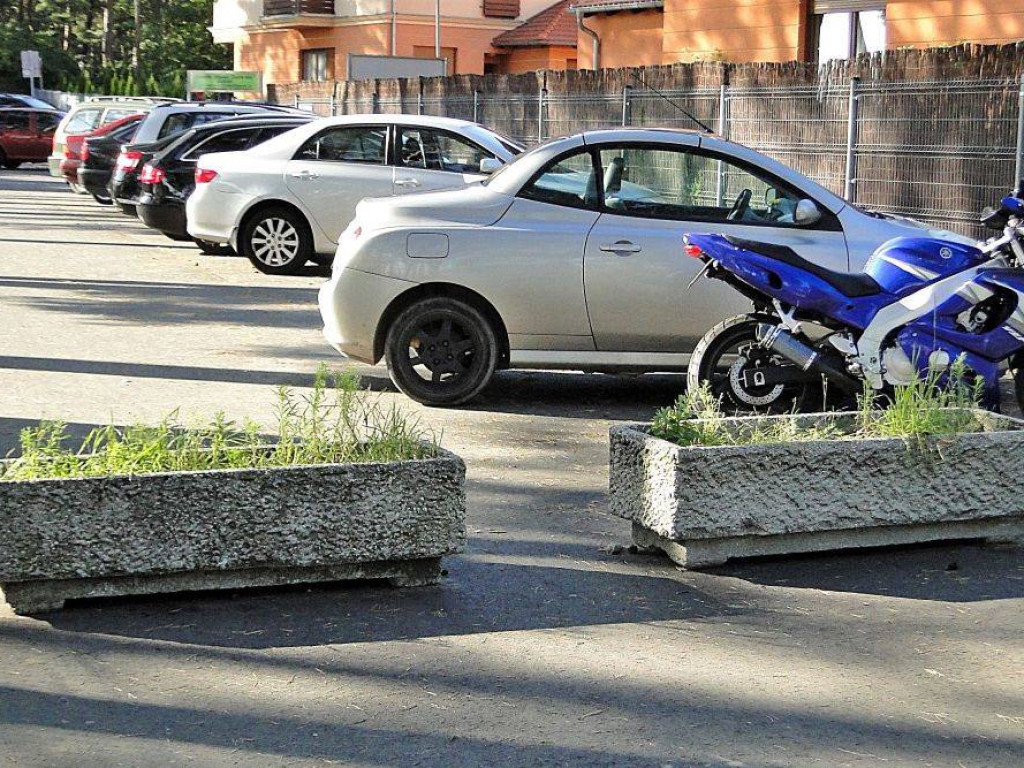Sława walczy o tytuł najpiękniej ukwieconego miasta. Centrum cudowne, ale bliżej plaży w gazonach rosną... chwasty