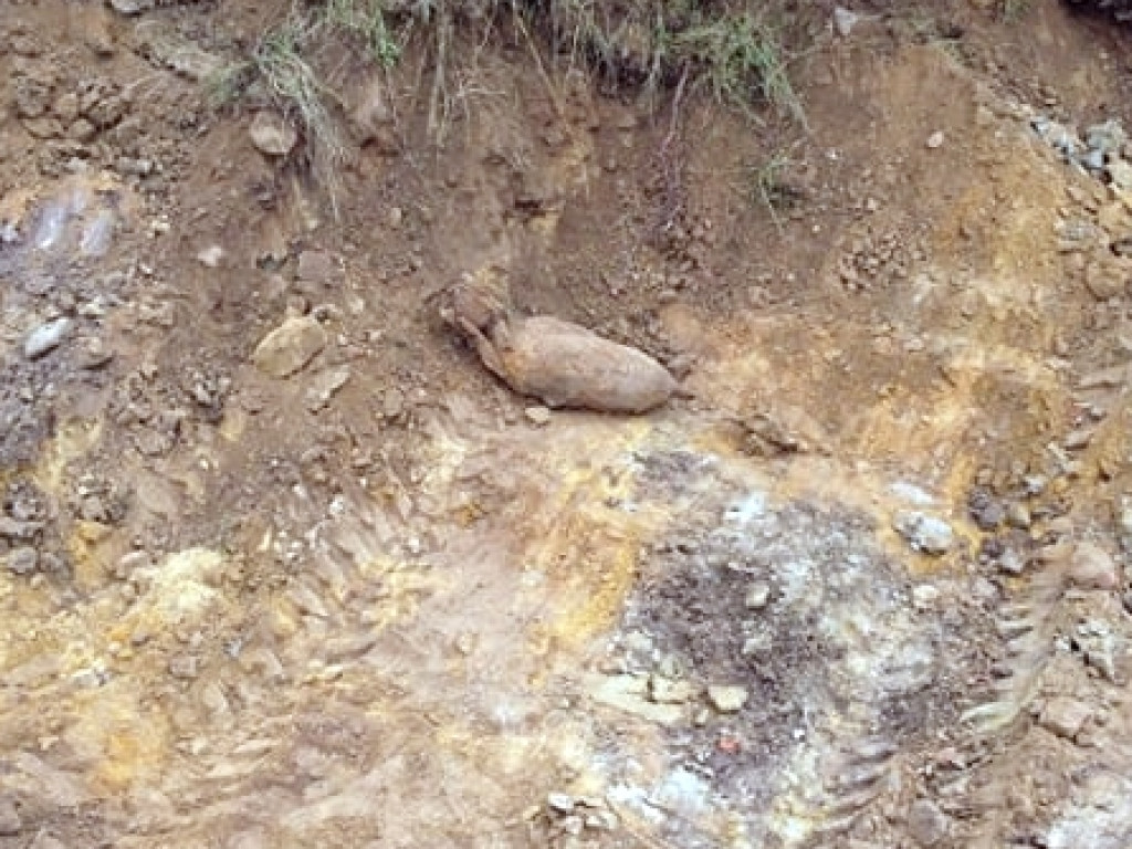 Saperzy, wojsko i policja na miejscu. Rozpoczyna się akcja podejmowania bomby