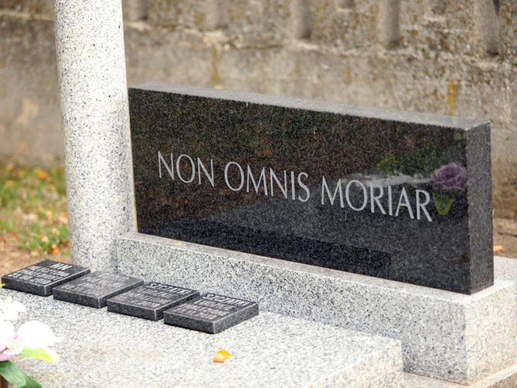 Studenci posprzątali groby osób nieznanych [ZDJĘCIA]