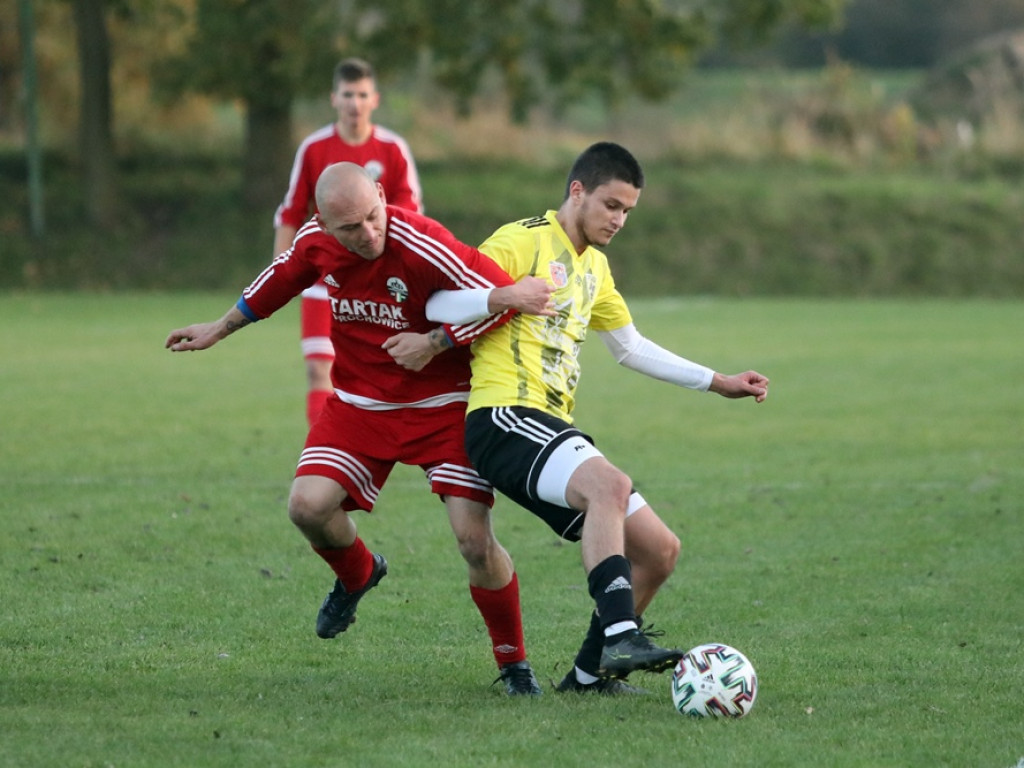 Z pięściami na sędziego! Skandal podczas meczu w Serbach [ZDJĘCIA]