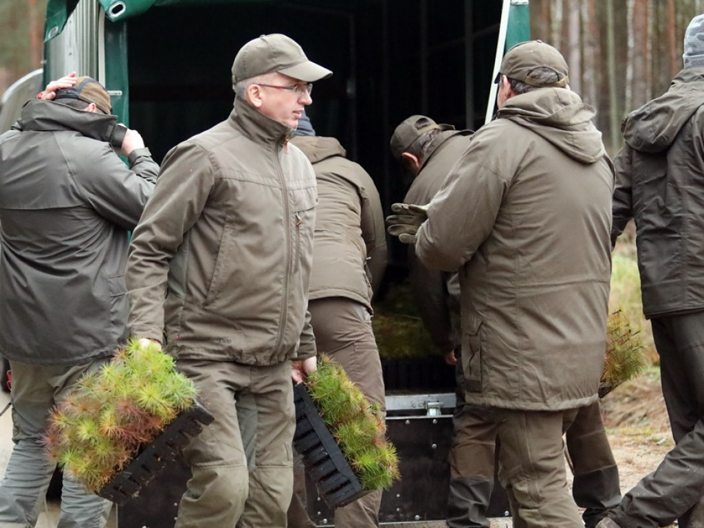 Tutaj był odwiert gazu, teraz rośnie las. I to wszystko z dedykacją dla strażaków ochotników [ZDJĘCIA]